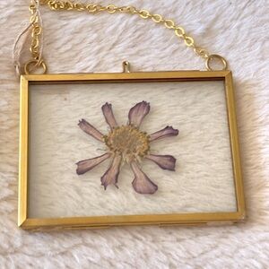 Pressed cosmo flower in gold float frame